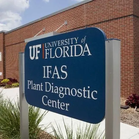 thumbnail for publication: Sample Submission Guide for Plant Diagnostic Clinics of the Florida Plant Diagnostic Network